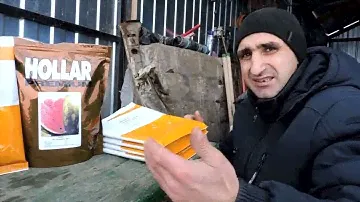 АРБУЗ ХЕРСОНЩИНЫ 2022 🍉🍉🍉ЗАКУПКА СЕМЯН ДЛЯ ВЫСАДКИ В ТЕПЛИЦУ👈👍👀