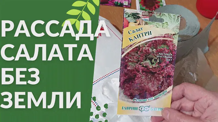 Выращивание салата только так!!! Рассада Салата без земли. Семена Гавриш.